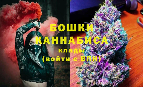 spice Арсеньев