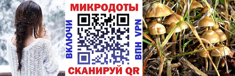 ссылка на мегу ССЫЛКА  Канск  Псилоцибиновые грибы Cubensis 